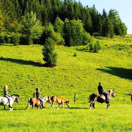 Steinbachgut Villa Flachau Luaran gambar