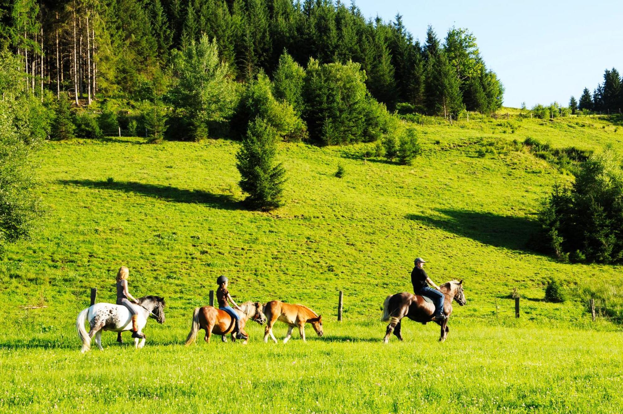 Steinbachgut Villa Flachau Luaran gambar