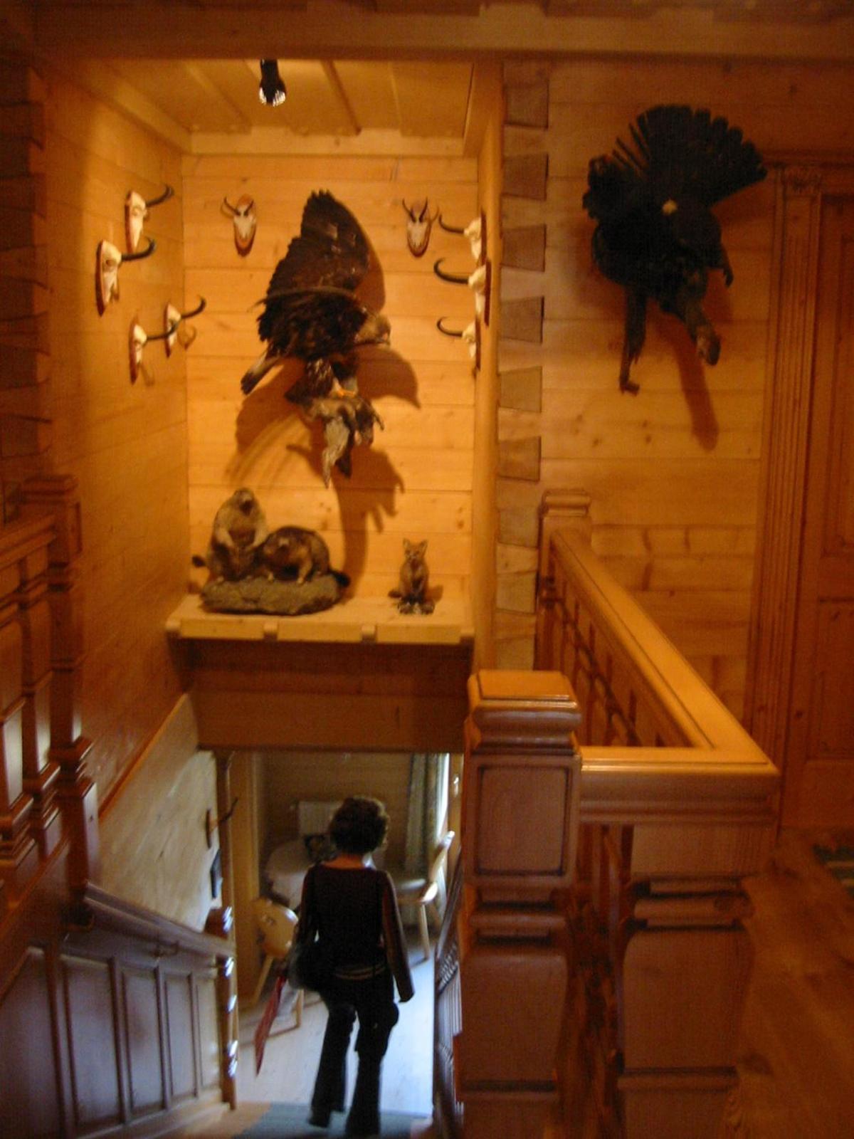 Steinbachgut Villa Flachau Luaran gambar
