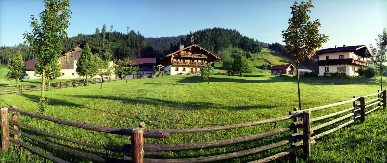 Steinbachgut Villa Flachau Luaran gambar